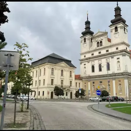 Apartment 80m2 In The Center Of Trnava